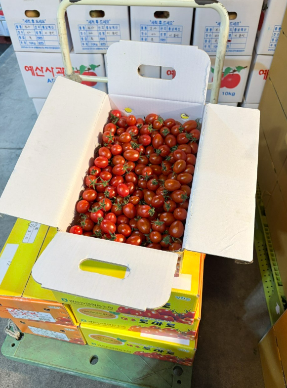 대추방울 토마토