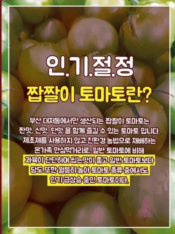 대저 토마토