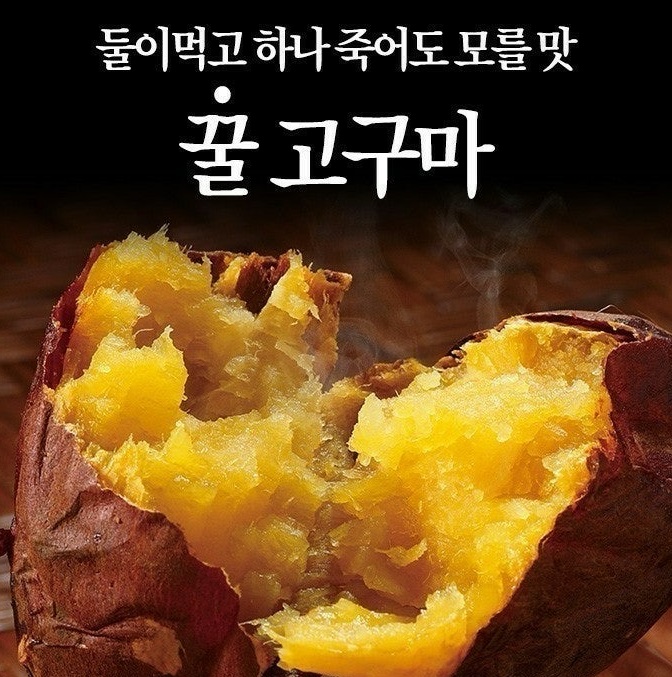 토울 고구마